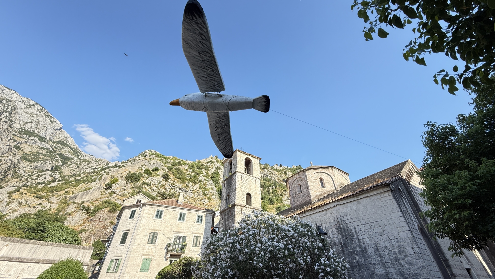 montenegro-kotor-old-town