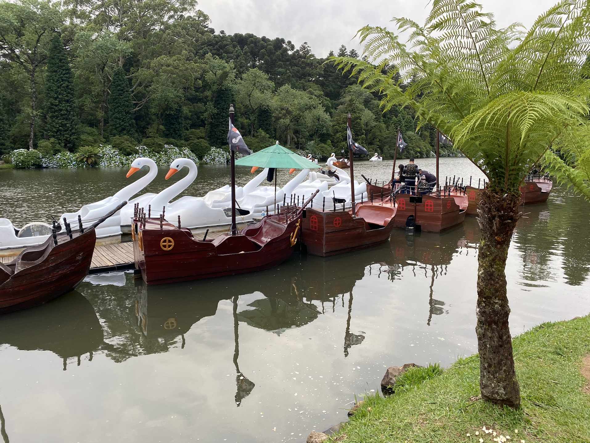 Pedalinho Lago Negro Gramado