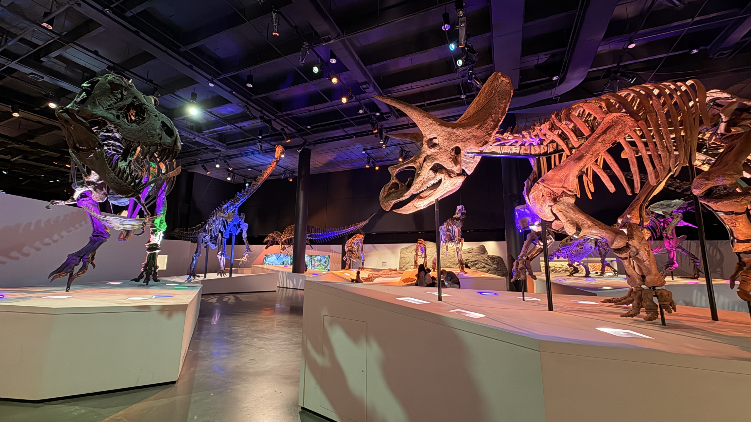 Museu de História e Ciência