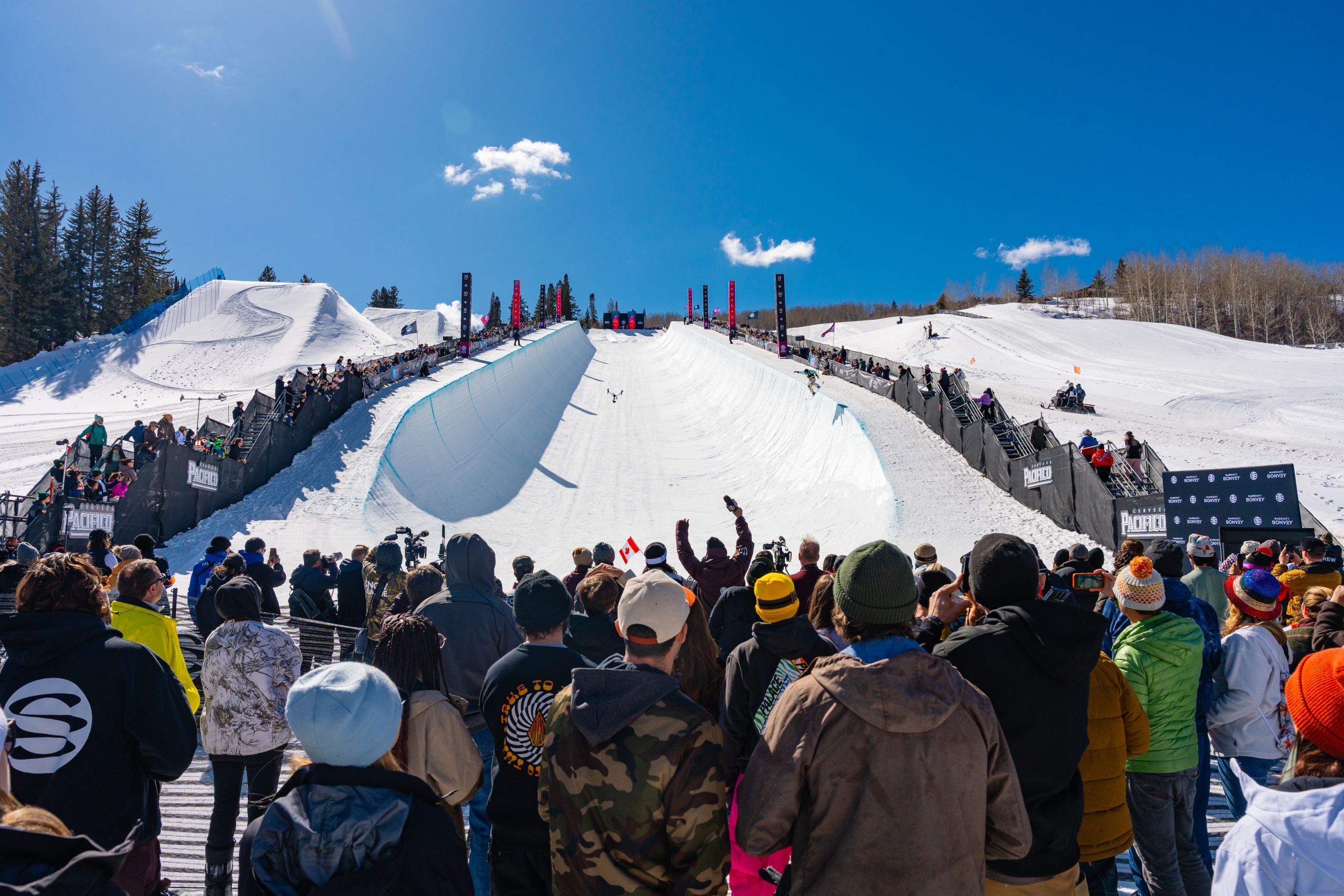 Buttermilk Aspen
